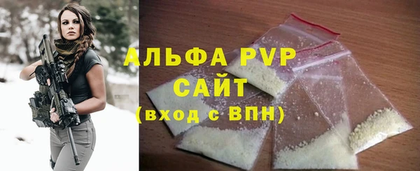 дживик Надым
