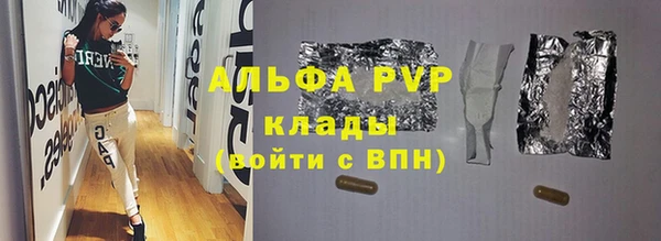 дживик Надым