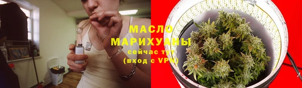дживик Надым