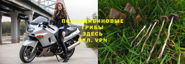 винт Михайловск