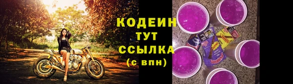 дживик Надым