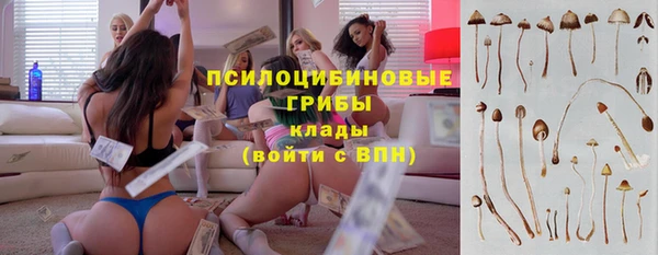 винт Михайловск