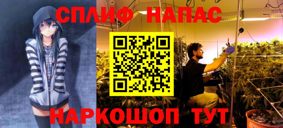 Бошки Шишки планчик Заволжье